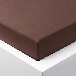 Hermann Cotton Napínací prostěradlo jersey EXCLUSIVE čokoládová 90 - 100 x 200 cm 2 ks