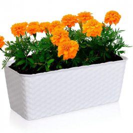 Truhlík samozavlaž.40 cm bílý